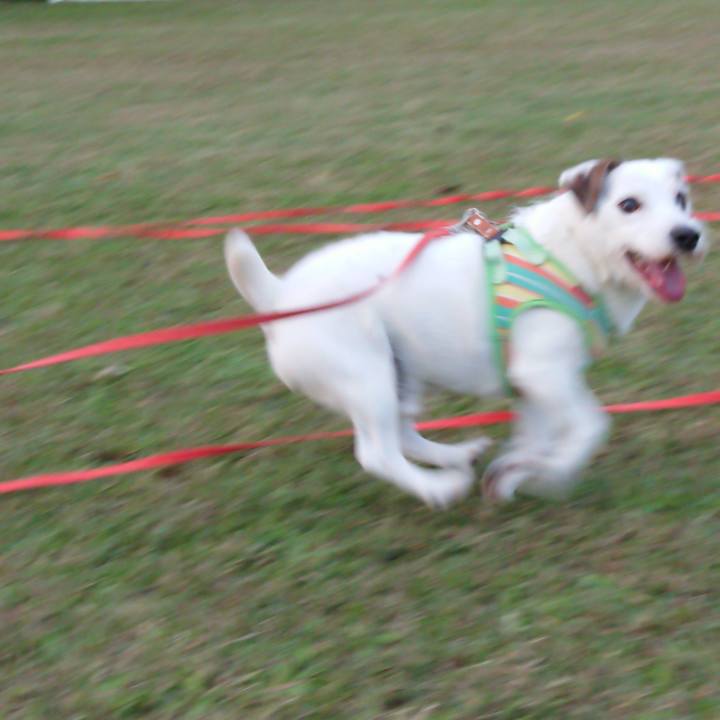 6cdb2fdc 6d11 442f 8a74 7a3450229c53 1580340175771