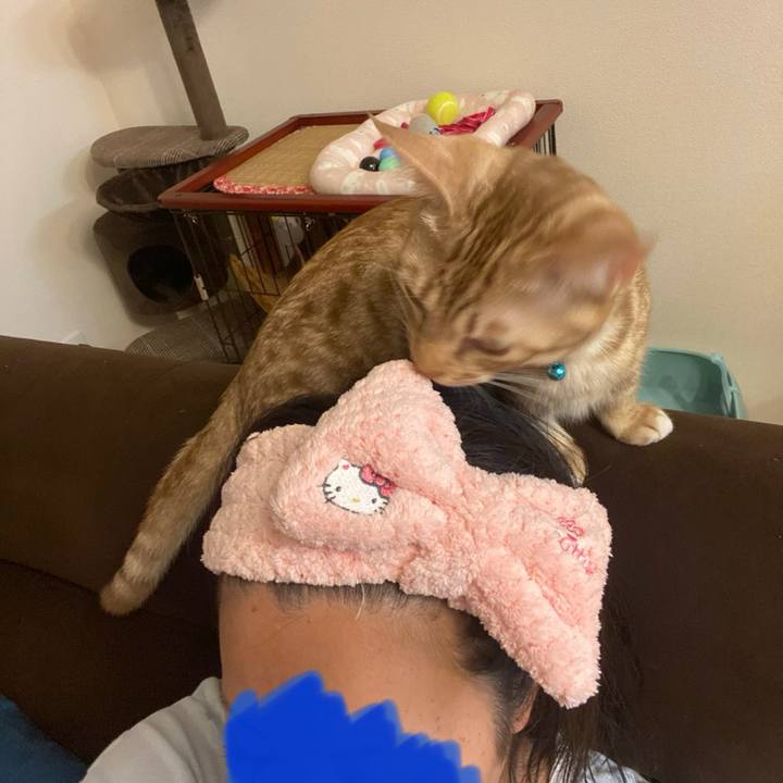 6cdb71b0 2f2b 42ca 91ee 994898a10666 1603535365780