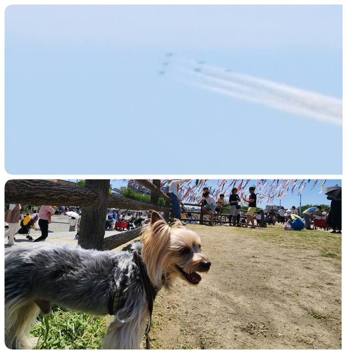 6cdb736f deee 492e 8ba6 0a82baab6864 1752391464001