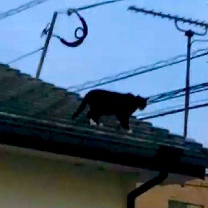 6cdbace6 3273 45ae 836b 93dcd589aa74 1733478419935