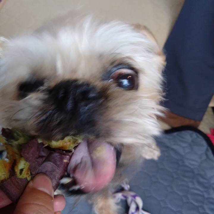 6cdbae36 1044 4a51 962b 162fd5b7c08c 1736649548928