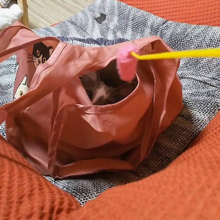 6cdc07f3 09f0 4034 837d 0f9e62ca61fa 1566819374615