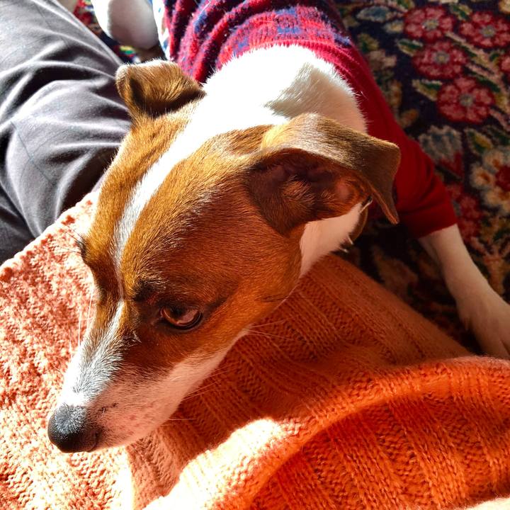 6cdc2eb8 38cf 4177 83fa d63aa67775b8 1545112140575