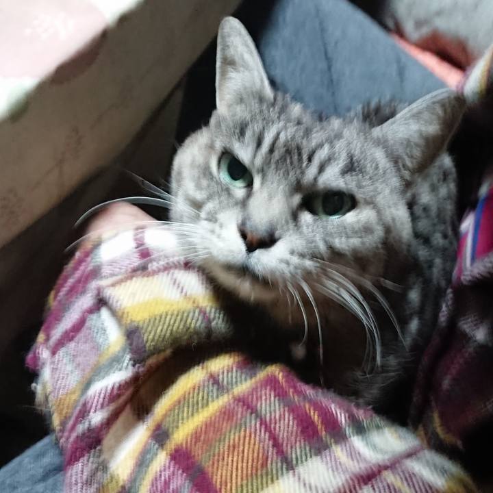 6cdc46f6 9ac0 4b09 b4c0 8d72d75ad377 1579899145356