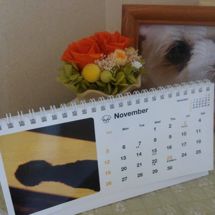 6cdc6b8e 735d 4dc4 b6f0 833830ff7716 1509585581274