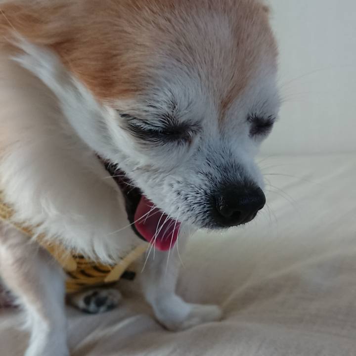 6cdc81d0 0983 440e a973 d8cbc1cc24b7 1547905749267