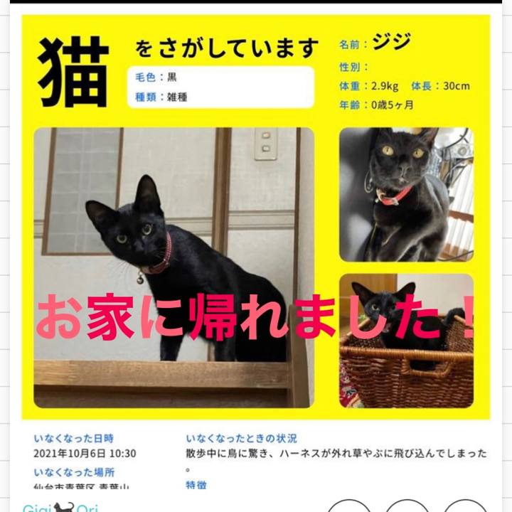 6cdc8aaf ad48 4008 858d 352d96fb9174 1633608506147