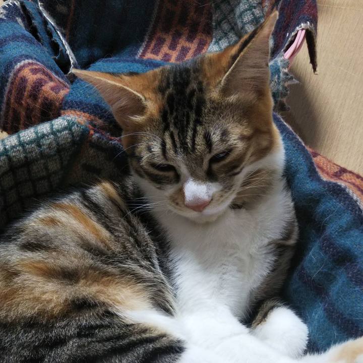 6cdcbd8c 498b 4501 9613 d748bccda6b9 1635895237253