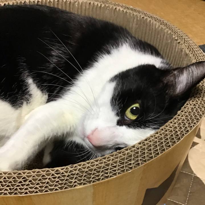 6cdce179 3427 4dfd 83c3 da23de02bdcf 1744529543915