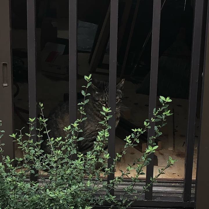 6cdd36a7 69f2 454f 8c42 fb8817dcddbb 1593759450382