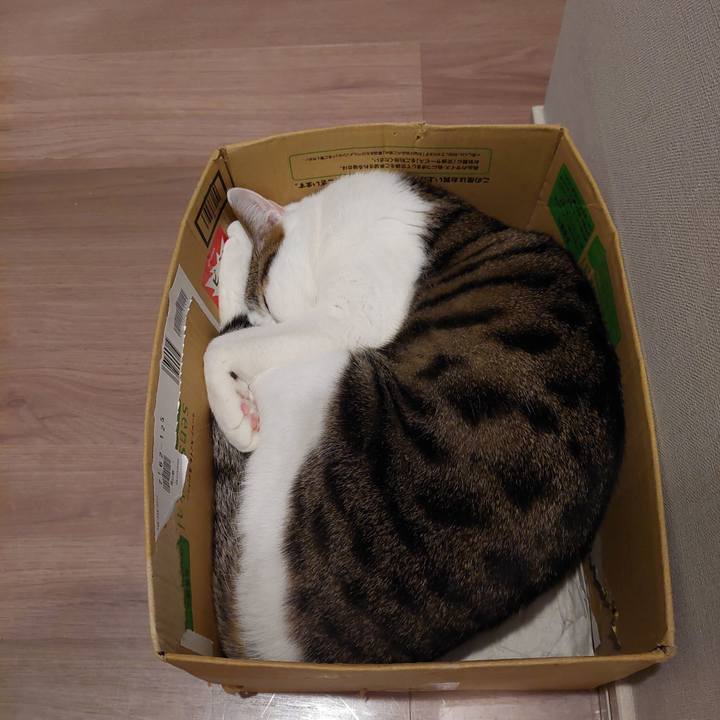 6cdd7d67 63d4 4062 8794 4aa9aebbeb56 1649102537768