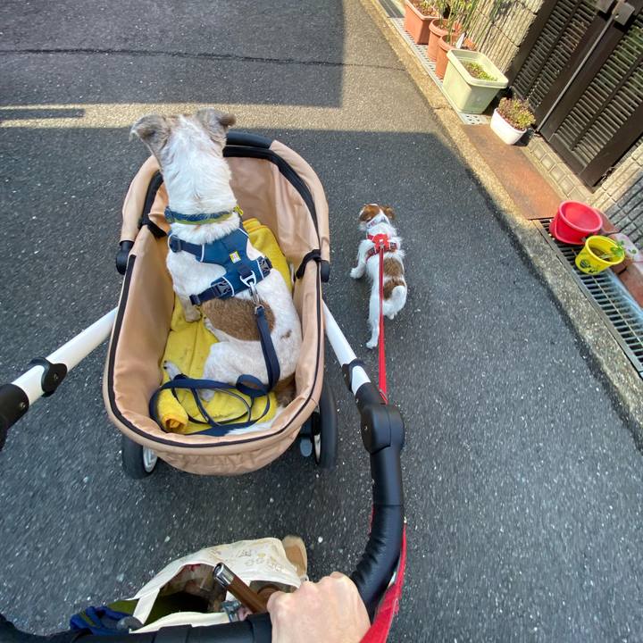 6cddc5b3 bd5c 4312 bec3 692967573b38 1667442515540