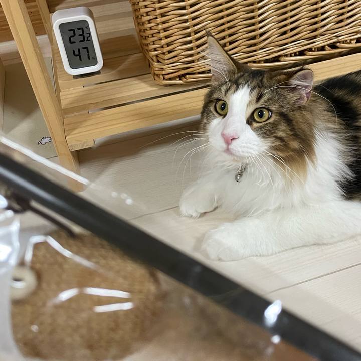 6cdde2b3 459b 4ed0 9aba ac47dbc1179f 1642072518517