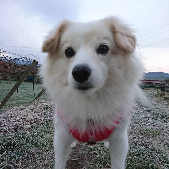 6cdde91f 3389 426d 81ce 65b304f550a6 1512250778217