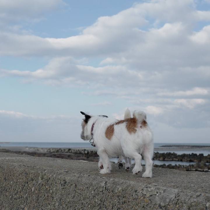 6cddff05 edca 49ce 934a b25356e70f8c 1552884128953