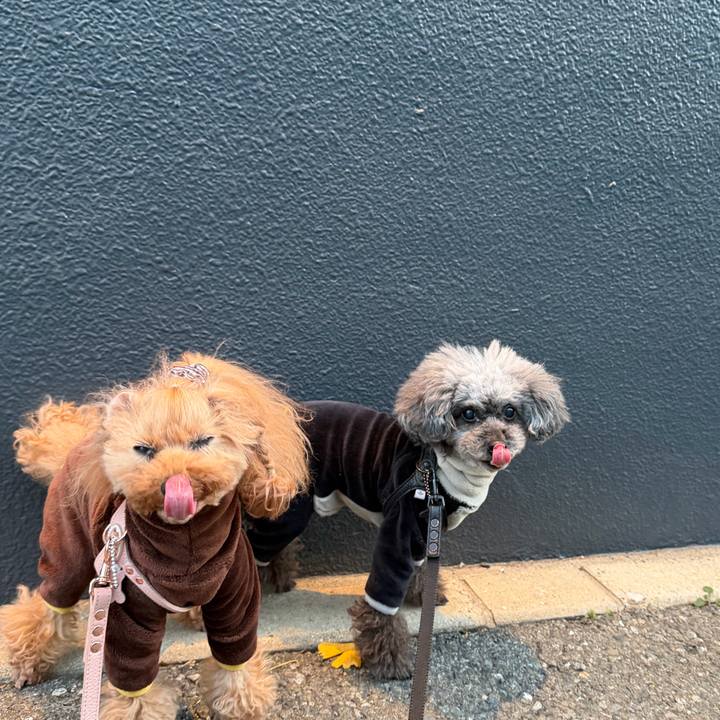 6cde335d 25c8 4daa 88d7 bbdfb1896f53 1768003288797