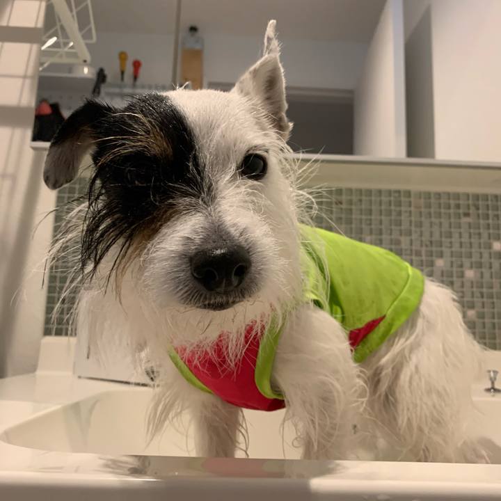 6cde8865 48ca 4370 b828 48ce58ae76f2 1676272209900