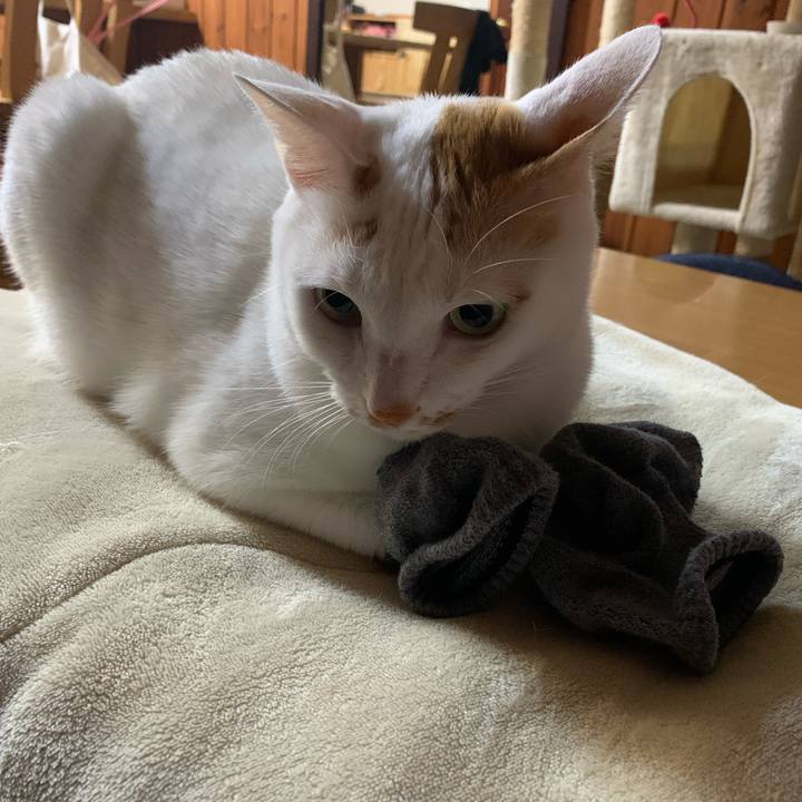 6cdf0018 cad7 4432 8630 7111fdcb8a87 1608118112969