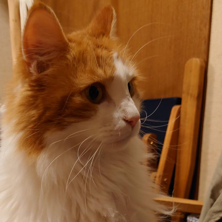 6cdf0f06 b959 4b1c 9040 7985282c6d17 1633185973748