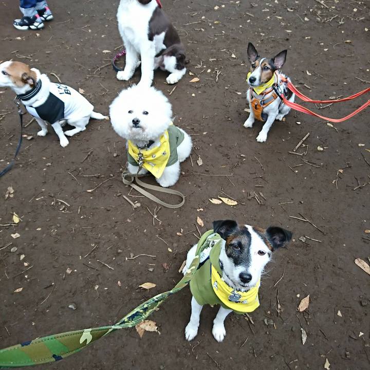 6cdf31c5 e340 42f3 97d3 1ee5d8e4103f 1509164486976