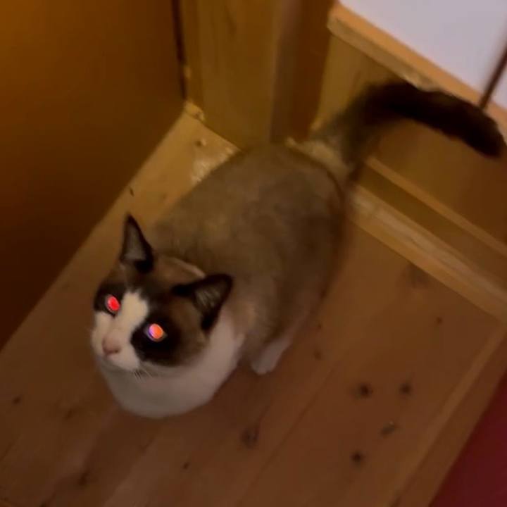 6cdf361d 5eed 47ce a518 3c5f229b55c7 1745983411256