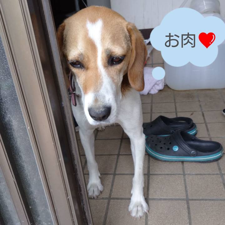 6cdf3674 acb4 4c3a a72a c27f2e094bd3 1594273562197