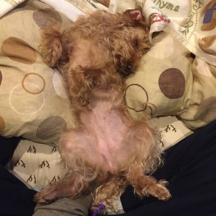 6cdf6271 b2a5 4b35 96ce c62b07fb29ce 1515676704317