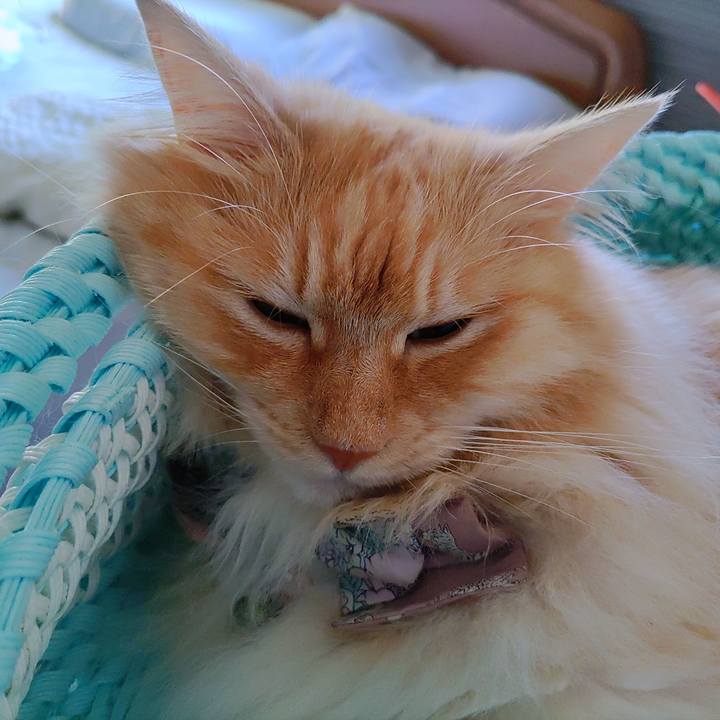 6ce00194 dcaf 469e 97a7 5d50d7524fed 1721688315883