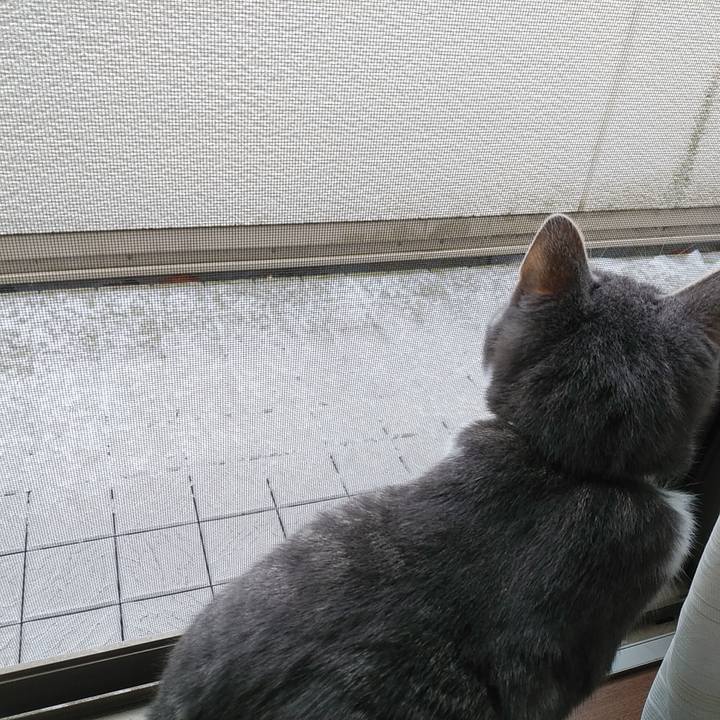 6ce062f7 5588 43a4 91bf b89bce64781d 1580173193809