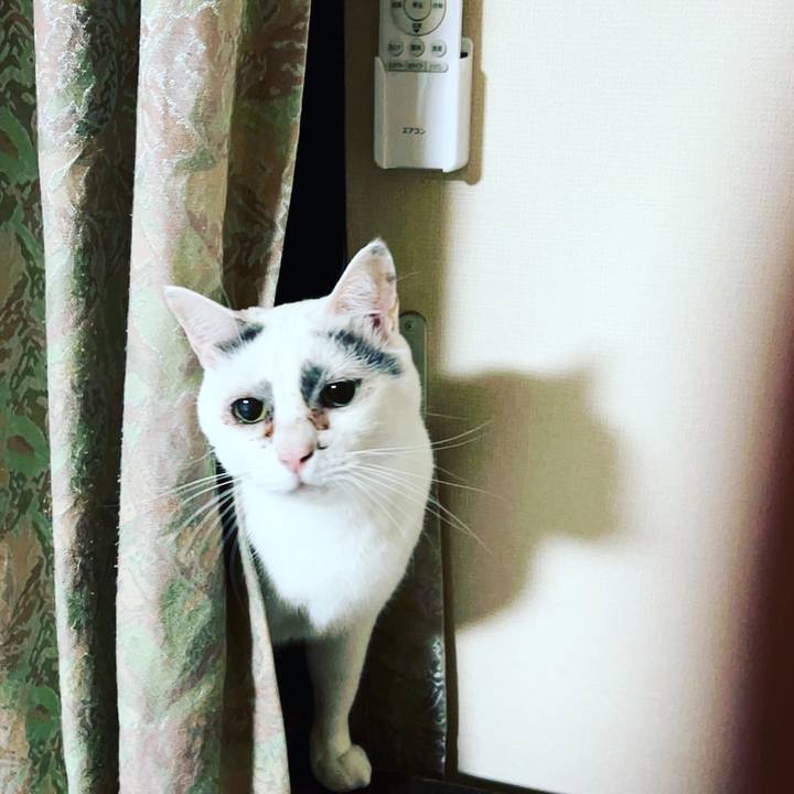 6ce0a79b e3b6 4a4a 9f08 76cbc5e30acc 1635176259547