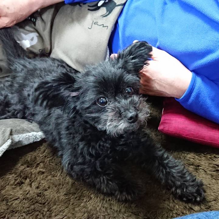 6ce0b9af ff9f 41aa a860 1ff9b70b9cac 1518001250898