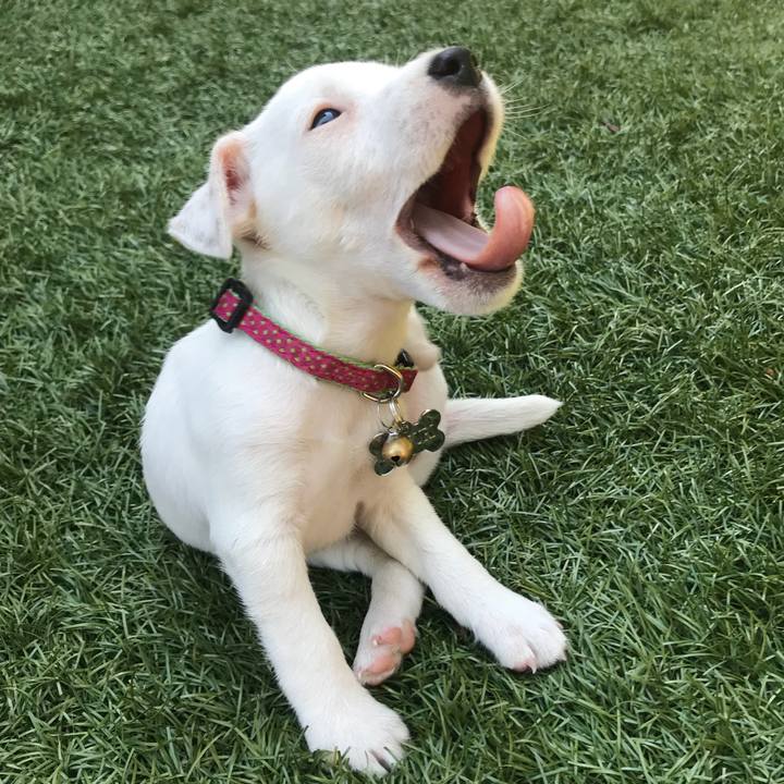 6ce0da45 c5ef 4e86 b8bf 59a240472431 1530733904746