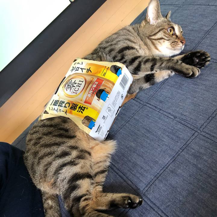 6ce15811 912f 49ca af1c 372c8e0df333 1653079718232