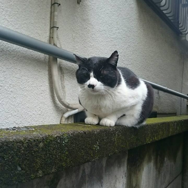 6ce15dd3 b1b6 4cc1 9624 8fe38d3a1297 1525736410449