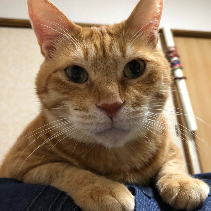 6ce1765f 2da5 44e5 9b5c d58daf6c389d 1633692856005