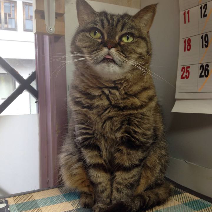 6ce18612 a3a1 4be6 93bd c8a6b1c004dd 1512184965022