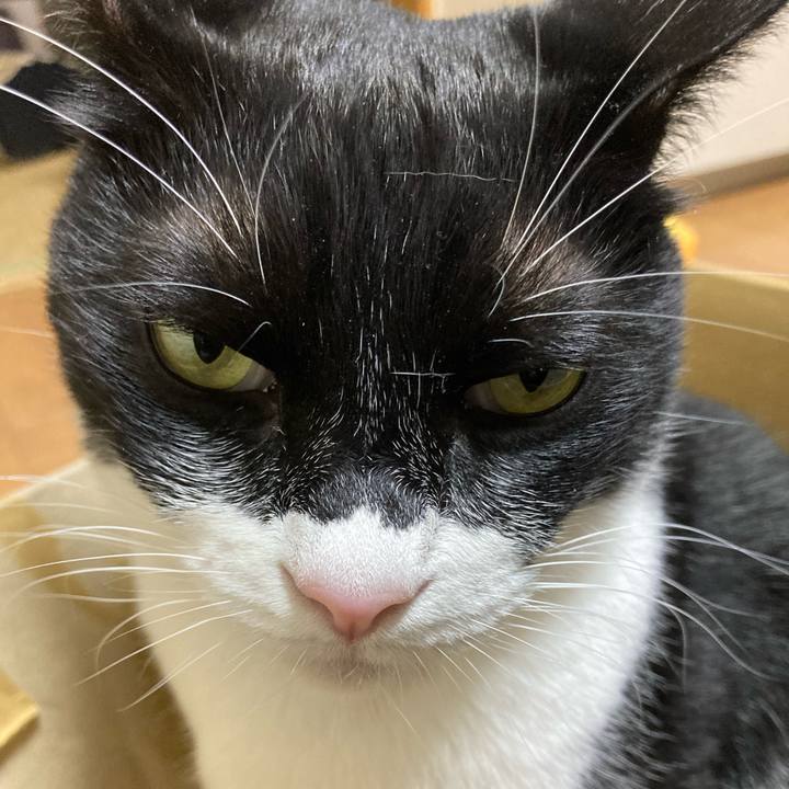 6ce19968 e80a 4eb1 ac2b b83b03094bcf 1674219802317