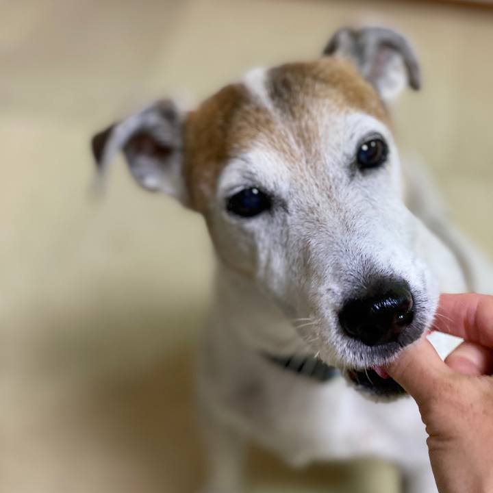 6ce19aa4 66a7 4e93 9cc1 370d21a01d51 1599602970034