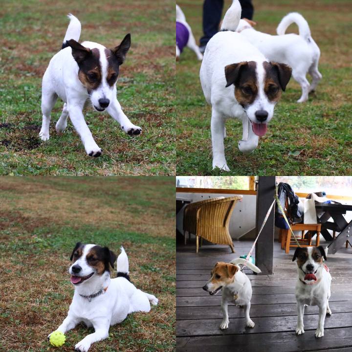 6ce1dc45 8e33 467c 8152 f74c8ede5a99 1544095563327