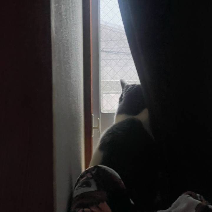 6ce1ef54 61ee 4fc5 8237 3d672276c562 1712048830668