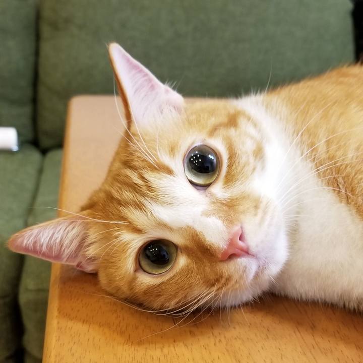 6ce2a741 4ada 4476 9672 dd22d2e30df0 1535405747590