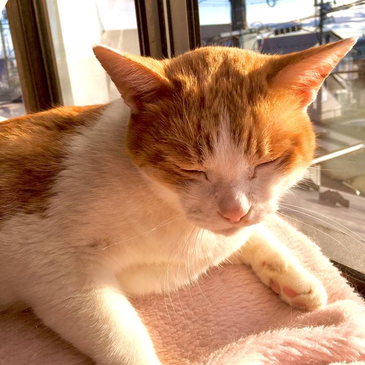 6ce2bcd6 8954 44a5 9dc3 4b8bb85846f6 1575439981857