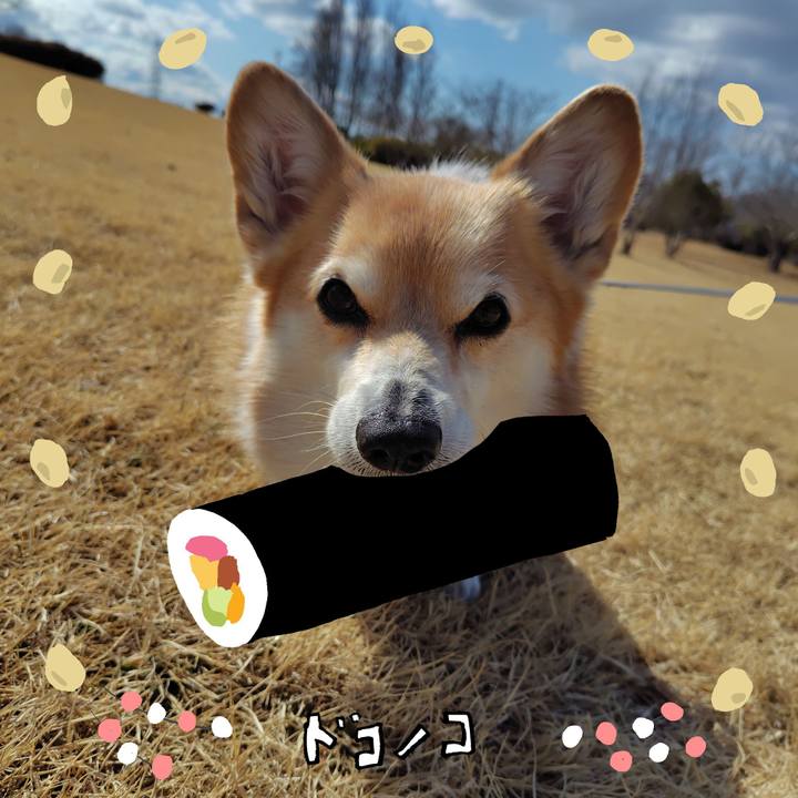 6ce2c3bb 9238 49dc 9120 bf7c25613538 1741513919308