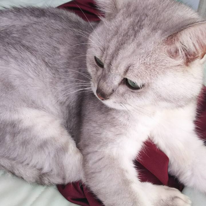 6ce30458 ec5c 4498 993c 5114d62d9d0d 1537153306130