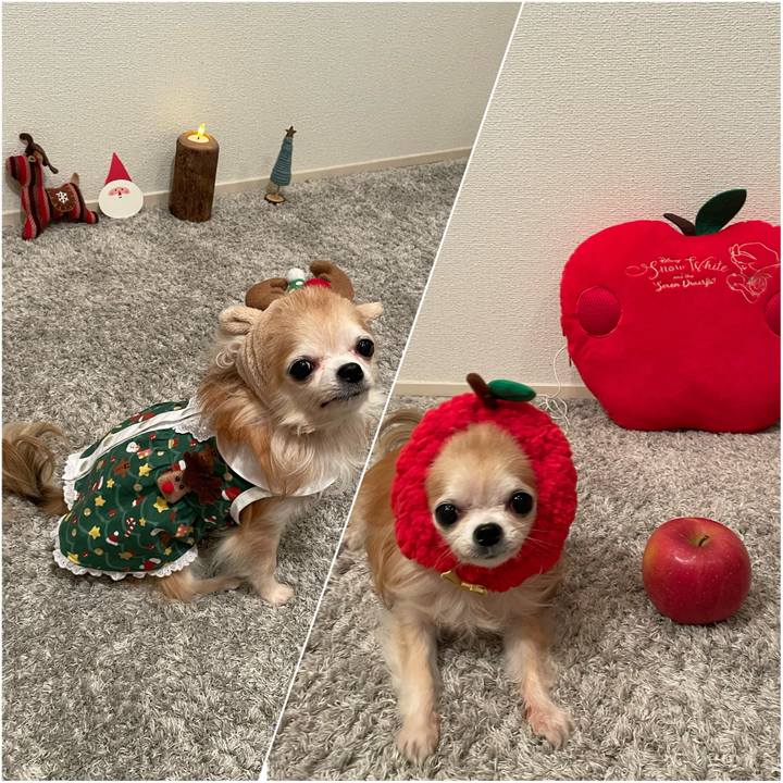 6ce31595 18e5 4d49 b6f7 e742aa17ea74 1765632084177