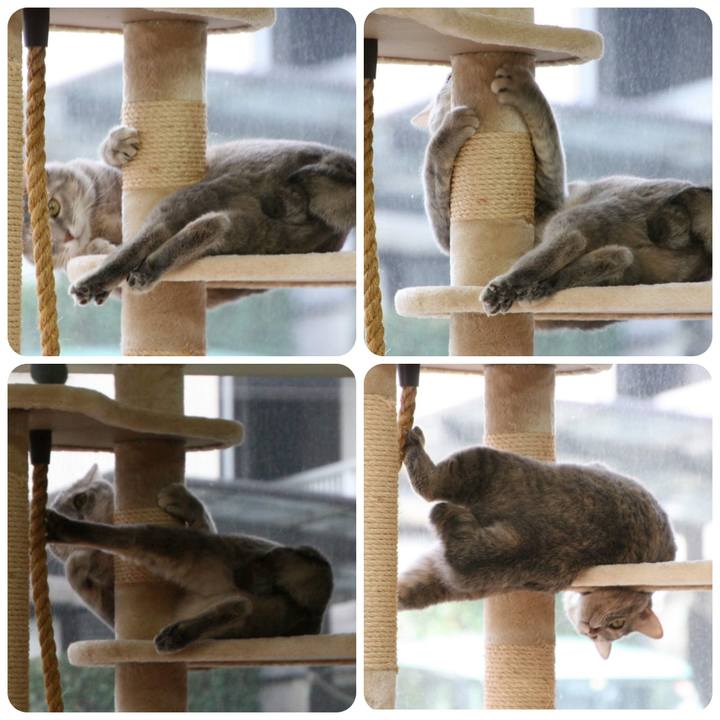 6ce325e1 f072 4453 972f f33f0e3c3d36 1545200637705