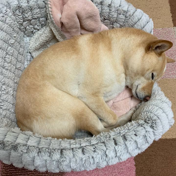 6ce3a142 14f1 4312 bf90 fdf3157dfc77 1643545186759