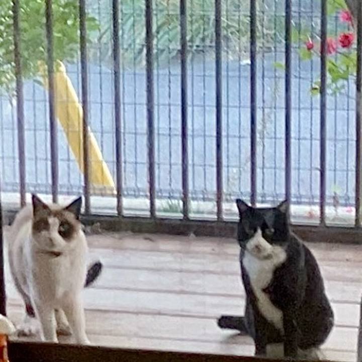 6ce3b3fc 6032 4d6b a5d7 bef7d5005c5b 1737451957155