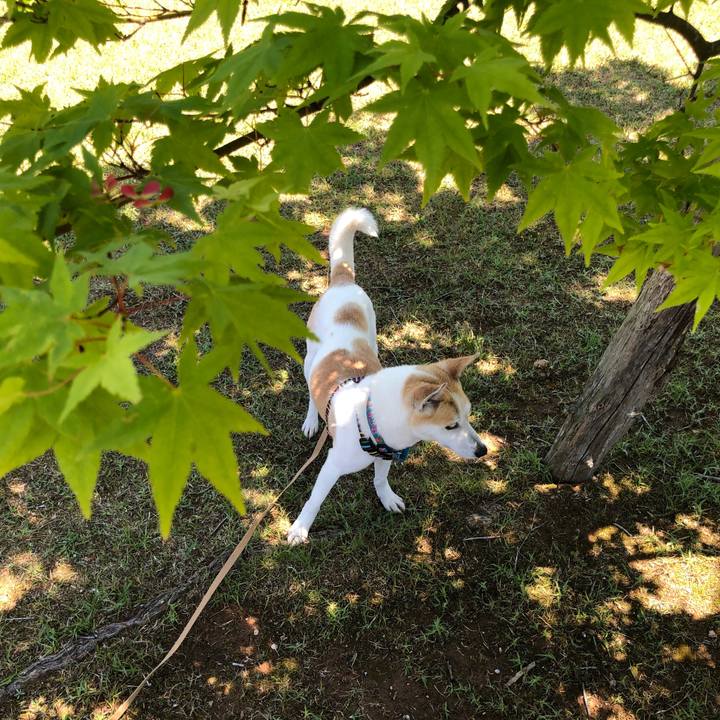 6ce3b41e 1d5a 47c2 9b17 49d98905b532 1589543856789