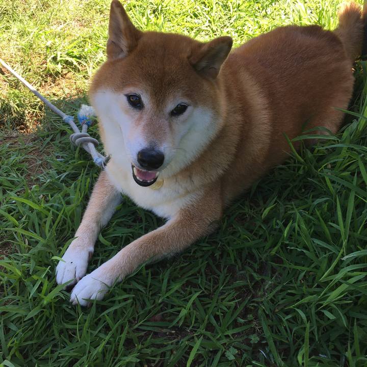 6ce3d6cd 4ffa 45ef 954c 03b9f0e45721 1630242731823